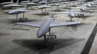 هزار فروند پهپاد راهبردی به سازمان رزم ارتش ملحق شد