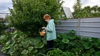 پیشنهاد جدید و جالب دانشمندان برای پیشگیری از آلزایمر