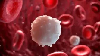 این میوه قاتل چربی خون است