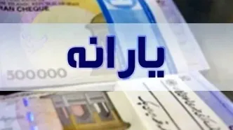 یارانه هشت میلیون نفر حذف شد/ مدیرعامل سازمان هدفمندی‌سازی خبر داد