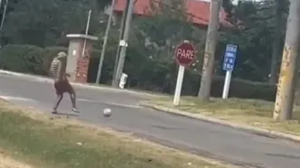 ویدئو: فرمول ساده شادی در برزیل؛ یک توپ و دیگر هیچ