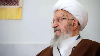 مکارم شیرازی: آشوب هیچ مشکلی را حل نمی کند/ به سوریه و لیبی نگاه کنید