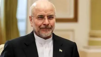 انتقاد قالیباف از افزایش قیمت کالاهایی که ارتباطی با ارز ترجیحی ندارند