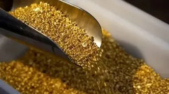 قیمت طلا به شدت ترمز برید