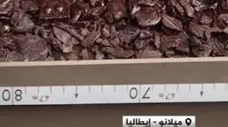 طولانی‌ترین قطار شکلاتی جهان در گینس ثبت شد