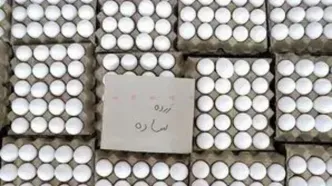 کف قیمت هر شانه تخم مرغ ۳۷۰ هزار تومان شد