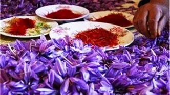 قیمت جدید زعفران اعلام شد