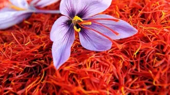 زعفران چند شد؟ | قیمت جدید سرگل اعلام شد