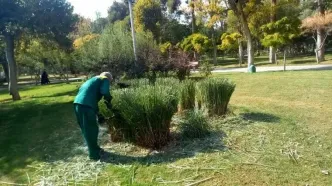 تمامی اراضی مشجر تهران دارای شناسنامه اکولوژیک و شهرسازی شدند