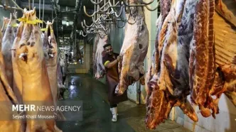 خرید گوشت با کالابرگ به صرفه شد