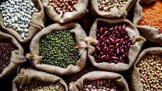 مردم چه می‌خورند؟! حبوبات ۳۵ درصد گران شد؛ لوبیا چیتی ۴۲۰ هزار تومان!