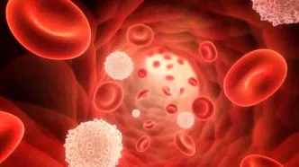 اگر گلبول سفید خون تان کم است نگران باشید