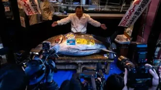 حراج باورنکردنی در ژاپن؛ یک ماهی تن ۳.۲ میلیون دلار فروخته شد