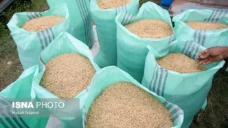 قیمت نهایی برنج ایرانی در بازار/ قیمت برنج خارجی چند؟
