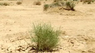ائتلاف صنعت و منابع طبیعی برای نجات اصفهان؛ از تعهد ۱۵۰۰ هکتاری بیابان‌زدایی تا خلاء اعتبار ۷ هزار میلیارد تومانی