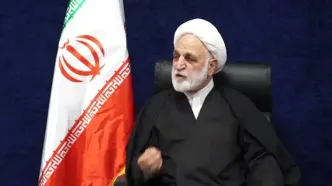 اژه‌ای: عناصری که در خیابان‌ها سرِ مردم را بریدند در سریع‌ترین زمان مجازات شوند