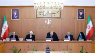 دعوت هیات دولت از مردم برای حضور در راهپیمایی «همبستگی ملی و تکریم صلح و دوستی»