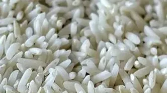 قیمت برنج دولتی مردم را شوکه کرد!