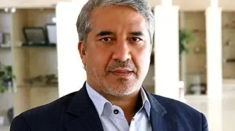 نماینده کمیسیون اقتصادی: محدودیت ورود ارز باید برداشته شود