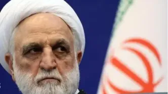 اژه‌ای: مجازات عناصر آشوبگر و اغتشاشگر، قاطعانه و بدون هیچگونه ارفاق قانونی خواهد بود