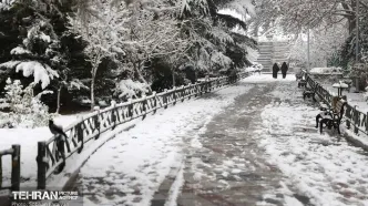 تصاویر حال‌خوب‌کُن از بارش برف در شمال تهران