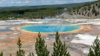 آیا ما از مریخ آمده‌ایم؟