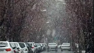 بارش برف جلوه‌ای زیبا به خیابان‌های آباده فارس داد