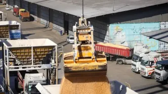 بارگذاری سهمیه نهاده‌های دامی دی‌ماه در سامانه «بازارگاه»