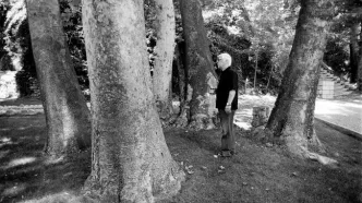 کاشت درخت «افرا» به یاد بهرام بیضایی