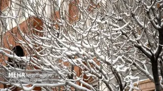سرمای شدید در البرز رکورد زد
