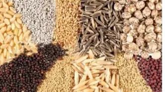 قیمت نهاده‌ها پس‌ از حذف ارز ترجیحی ۴ برابر شد