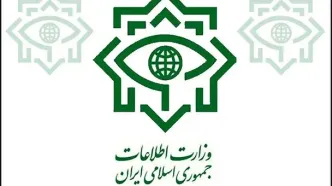 اطلاعیه وزارت اطلاعات درباره شناسایی و دستگیری ۱۴ نفر از مزدوران دشمن در چهار استان کشور