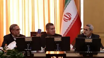 سفیر ونزوئلا در ایران: کشورم در آرامش است