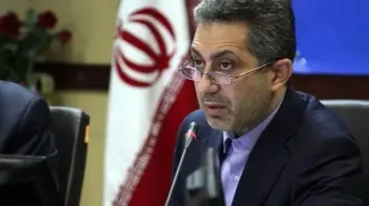 سازمان انتقال خون می‌تواند محور توسعه بانک سلول‌های بنیادی غیرخویشاوند در کشور باشد