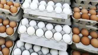 آخرین وضعیت قیمت تخم مرغ یکشنبه ۱۹ بهمن
