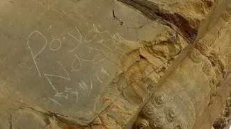 یادگاری‌ جنجالی از دروازه ملل تخت جمشید پاک شد