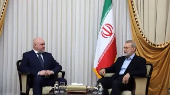 دیدار لاریجانی با وزیر انرژی روسیه/وزیر انرژی روسیه: امضای چند توافق‌نامه با ایران در دستورکار قرار دارد