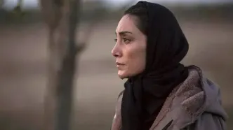 از دیروز هدیه تهرانی به صدر اخبار برگشته است