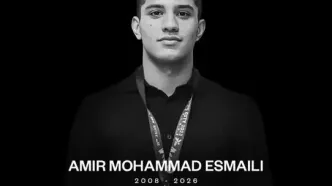 ملی‌پوش جوان واترپلوی ایران درگذشت