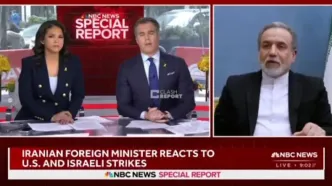 عراقچی: تا جایی که می‌دانم تمام مقامات عالی‌رتبه زنده هستند + فیلم