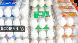 قیمت تخم‌مرغ در ماه رمضان + لیست قیمت