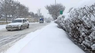 بارش برف زمستانی در اردبیل