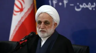 رئیس دستگاه قضا: تراستی‌های نفتی باید ارز را برگردانند؛ مماشات نمی‌کنیم