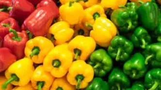 خواص عجیب این فلفل را بخوانید!