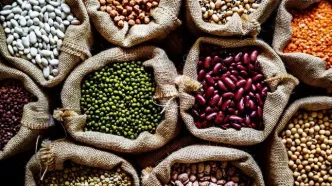 حبوبات در کمال ناباوری گران شد!