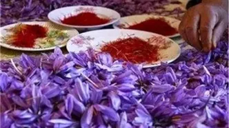 رشد ۷۰ درصدی صادارت زعفران تا پایان آذرماه