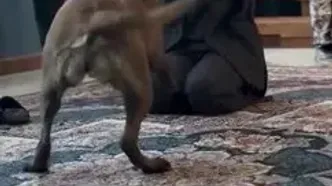 ببینید خانم بازیگر سریال ستایش در یک شرایط ترسناک