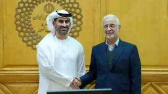 دیدار وزیر کشور با سفیر امارات