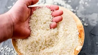 جدیدترین قیمت برنج در بازار | ارزان‌ترین برنج بازار کدام است ؟