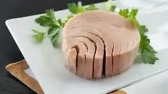 غذای کارگری لاکچری شد؛ افزایش ۱۱۰درصدی قیمت تن ماهی در یکسال اخیر